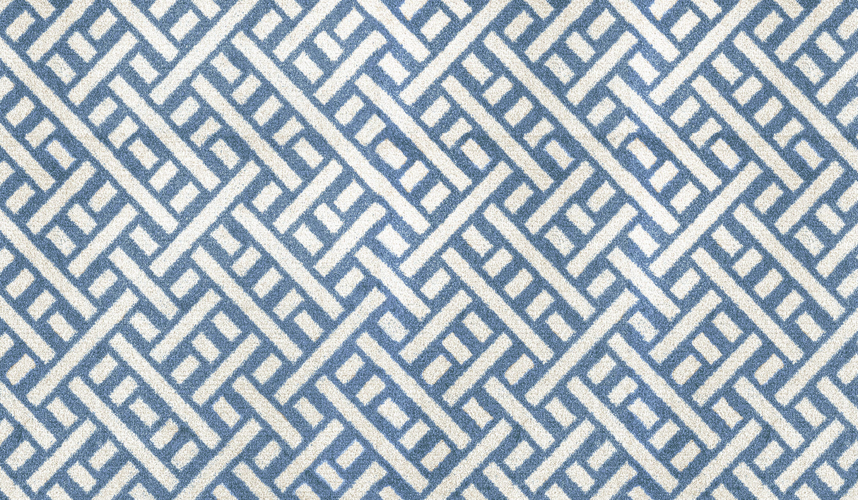 Trellis Denim