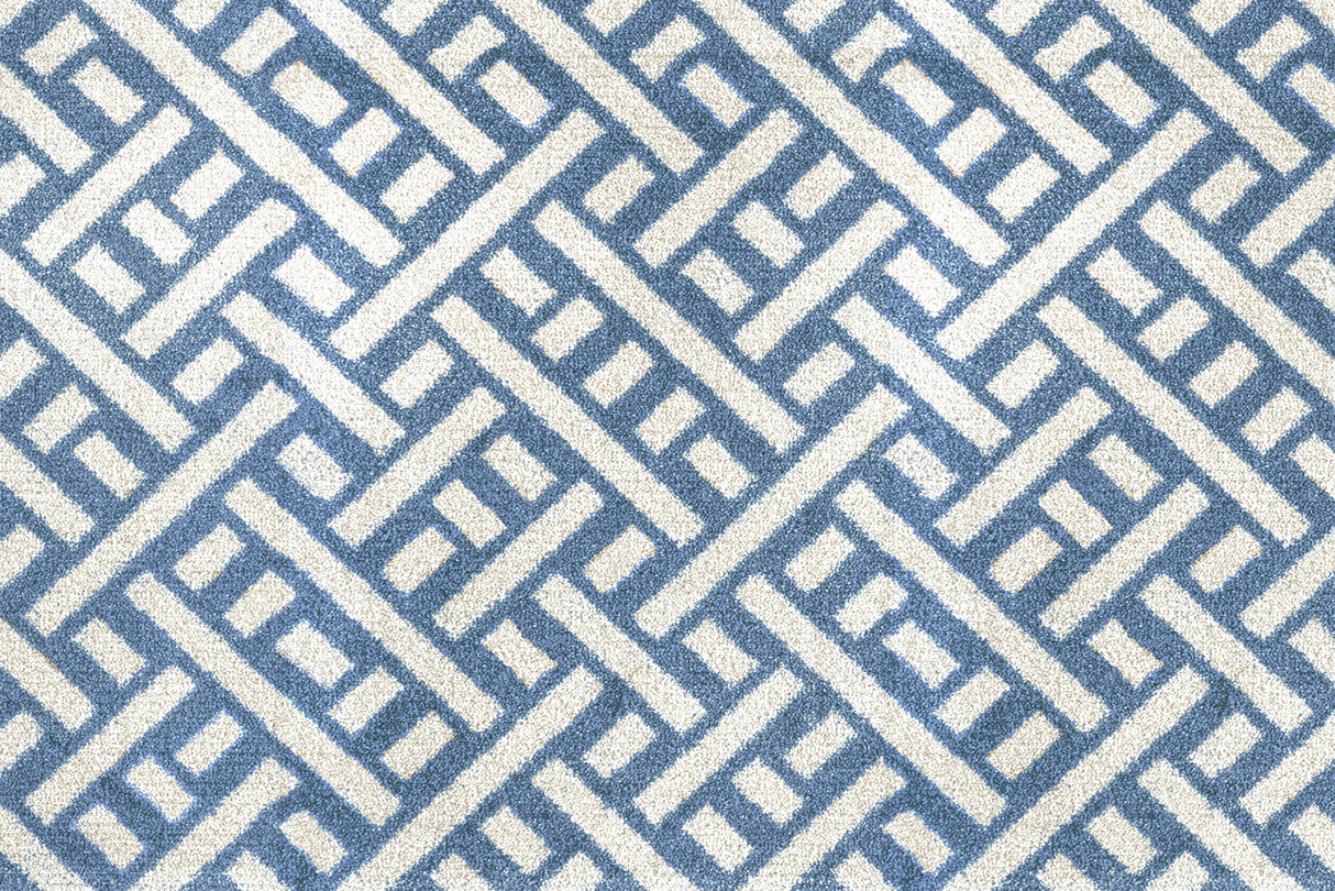 Trellis Denim