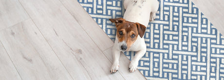 The Spring Cleaning Hack You’re Missing - And It’s Right Under Your Feet!