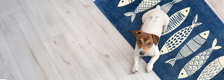 Fresh Floors Ahead: Meet the Wash+Dry Spring Collection