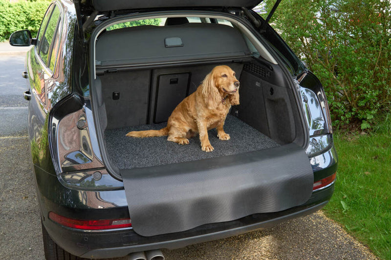 Kleen-Car Vehicle Protector Mats