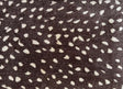 Savanna Antelope Print Floor Mats - Small
