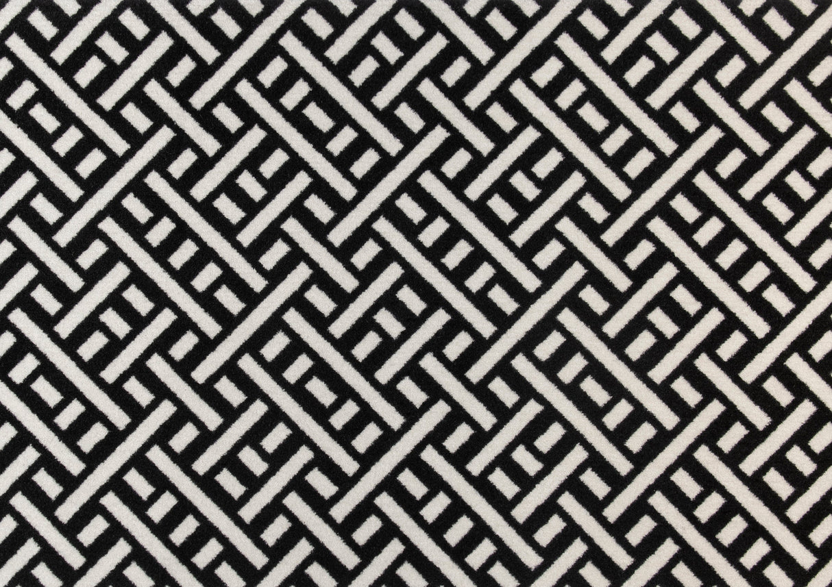 Trellis Black + White
