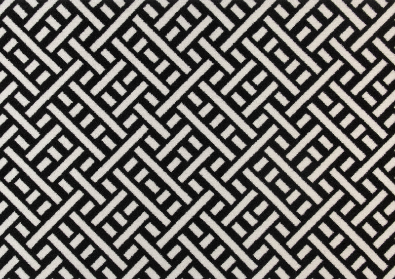 Trellis Black + White