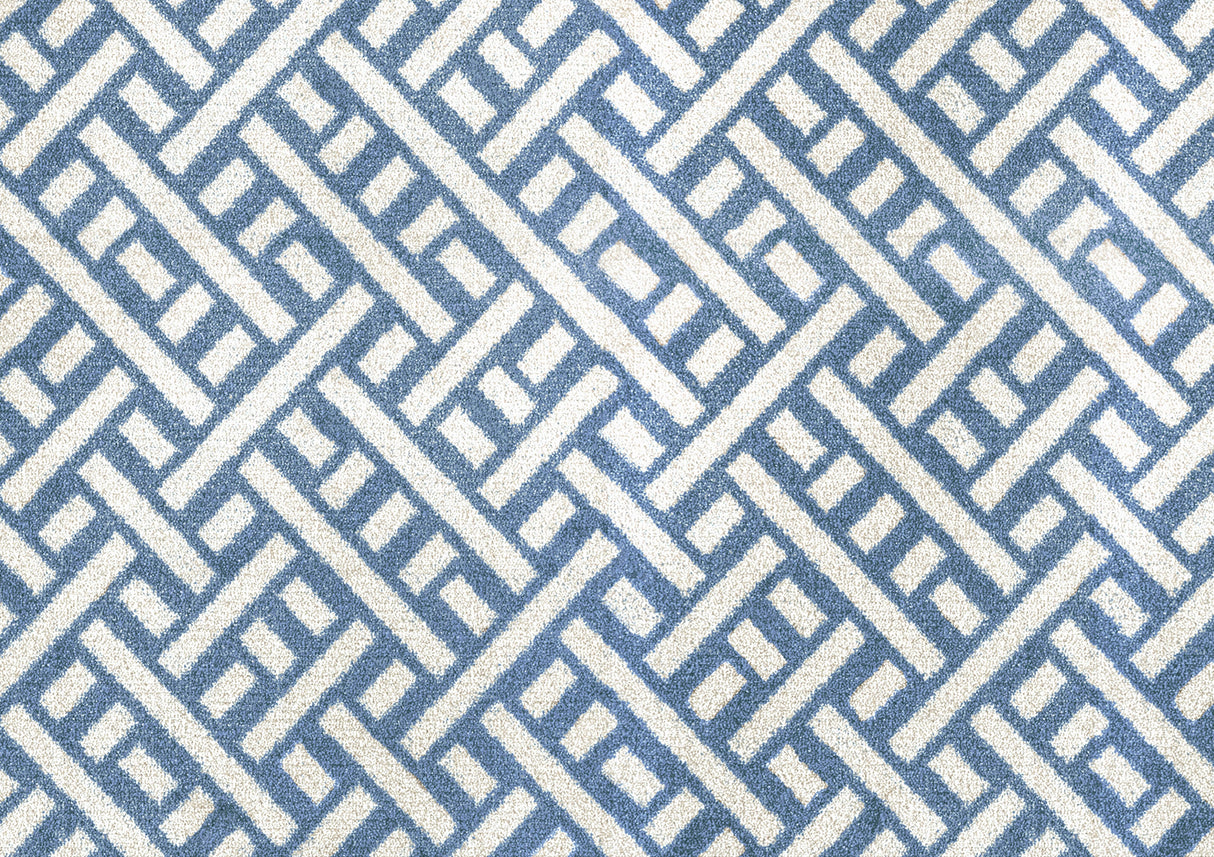 Trellis Denim