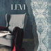 Levi washable entrance mats - lifestyle image